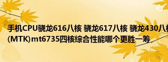 手机CPU骁龙616八核 骁龙617八核 骁龙430八核与联发科(MTK)mt6735四核综合性能哪个更胜一筹