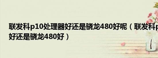 联发科p10处理器好还是骁龙480好呢（联发科p10处理器好还是骁龙480好）