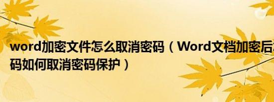 word加密文件怎么取消密码（Word文档加密后怎么删除密码如何取消密码保护）