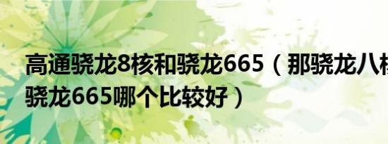 高通骁龙8核和骁龙665（那骁龙八核和高通骁龙665哪个比较好）