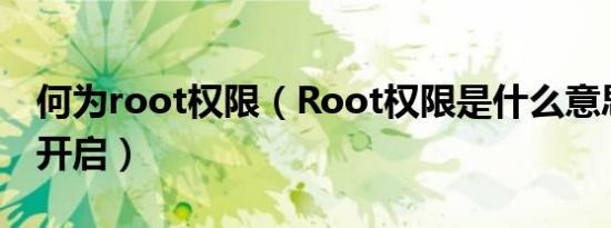 何为root权限（Root权限是什么意思要如何开启）