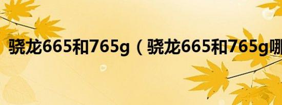 骁龙665和765g（骁龙665和765g哪个好）