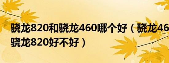 骁龙820和骁龙460哪个好（骁龙460好不好骁龙820好不好）