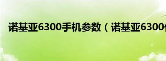 诺基亚6300手机参数（诺基亚6300价格）