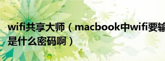 wifi共享大师（macbook中wifi要输入wpa2是什么密码啊）