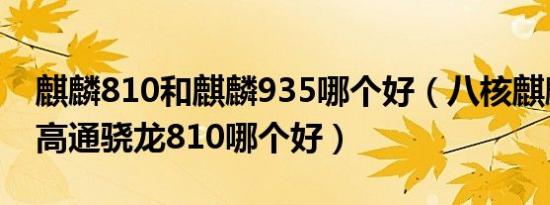 麒麟810和麒麟935哪个好（八核麒麟935和高通骁龙810哪个好）