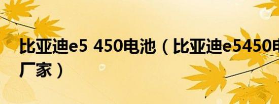 比亚迪e5 450电池（比亚迪e5450电池什么厂家）