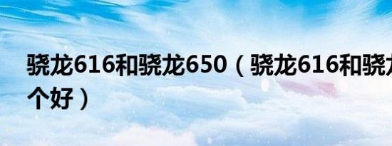 骁龙616和骁龙650（骁龙616和骁龙636哪个好）