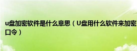 u盘加密软件是什么意思（U盘用什么软件来加密及设置使用口令）