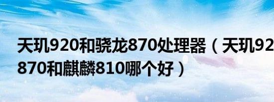 天玑920和骁龙870处理器（天玑920和骁龙870和麒麟810哪个好）