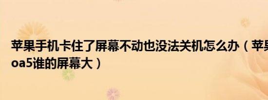 苹果手机卡住了屏幕不动也没法关机怎么办（苹果11和oppoa5谁的屏幕大）