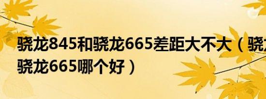 骁龙845和骁龙665差距大不大（骁龙845和骁龙665哪个好）