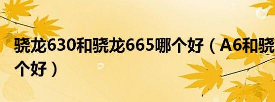 骁龙630和骁龙665哪个好（A6和骁龙630哪个好）