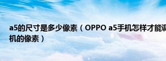 a5的尺寸是多少像素（OPPO a5手机怎样才能调成苹果手机的像素）