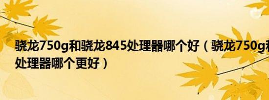 骁龙750g和骁龙845处理器哪个好（骁龙750g和天玑810处理器哪个更好）