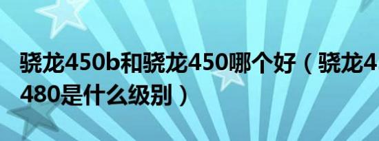 骁龙450b和骁龙450哪个好（骁龙450B骁龙480是什么级别）