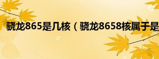 骁龙865是几核（骁龙8658核属于是什么）