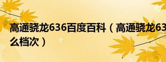 高通骁龙636百度百科（高通骁龙636属于什么档次）