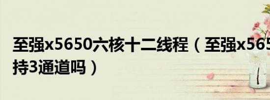 至强x5650六核十二线程（至强x5650内存支持3通道吗）