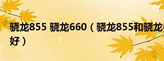 骁龙855 骁龙660（骁龙855和骁龙600哪个好）