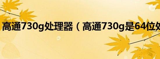 高通730g处理器（高通730g是64位处理器）