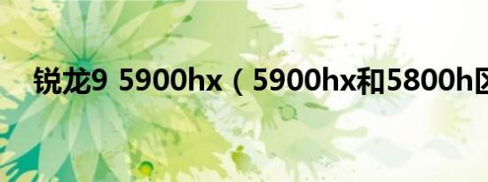 锐龙9 5900hx（5900hx和5800h区别）