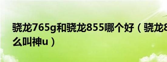 骁龙765g和骁龙855哪个好（骁龙855为什么叫神u）