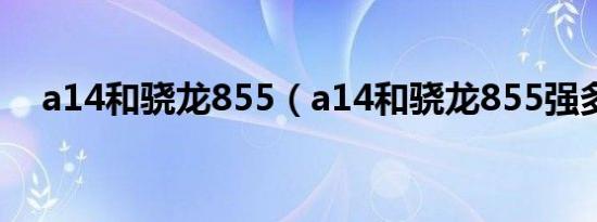 a14和骁龙855（a14和骁龙855强多少）