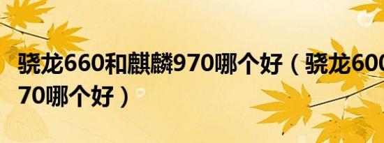 骁龙660和麒麟970哪个好（骁龙600和麒麟970哪个好）