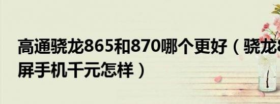 高通骁龙865和870哪个更好（骁龙865全面屏手机千元怎样）