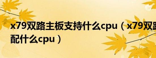 x79双路主板支持什么cpu（x79双路主板搭配什么cpu）