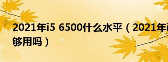 2021年i5 6500什么水平（2021年i5 6500够用吗）