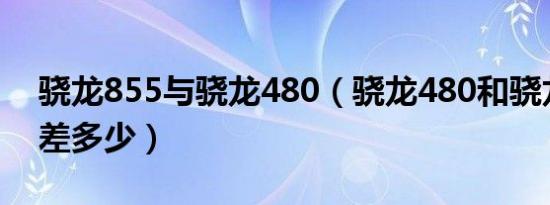 骁龙855与骁龙480（骁龙480和骁龙855相差多少）