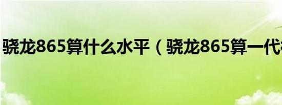 骁龙865算什么水平（骁龙865算一代神u吗）