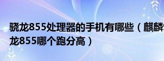 骁龙855处理器的手机有哪些（麒麟985和骁龙855哪个跑分高）