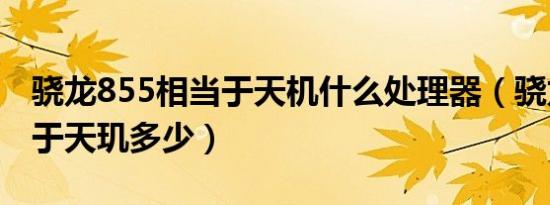 骁龙855相当于天机什么处理器（骁龙855等于天玑多少）