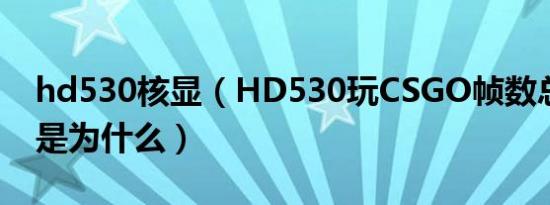 hd530核显（HD530玩CSGO帧数总是很低是为什么）