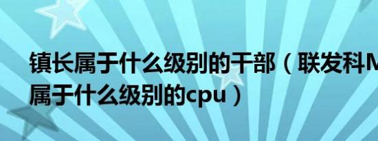 镇长属于什么级别的干部（联发科MT6582属于什么级别的cpu）