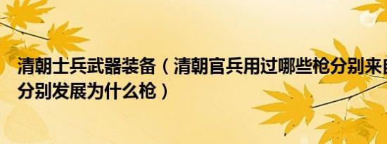 清朝士兵武器装备（清朝官兵用过哪些枪分别来自哪里后来分别发展为什么枪）