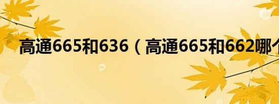 高通665和636（高通665和662哪个好）