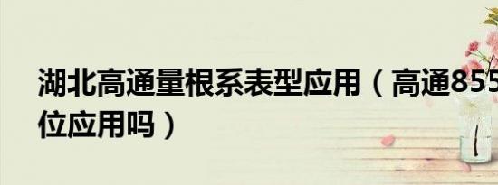 湖北高通量根系表型应用（高通855支持64位应用吗）