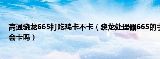 高通骁龙665打吃鸡卡不卡（骁龙处理器665的手机玩吃鸡会卡吗）