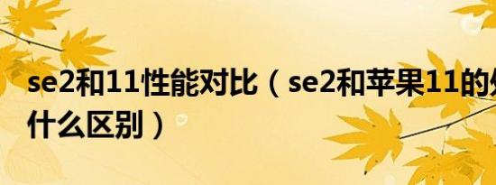 se2和11性能对比（se2和苹果11的处理器有什么区别）