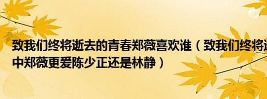 致我们终将逝去的青春郑薇喜欢谁（致我们终将逝去的青春中郑薇更爱陈少正还是林静）