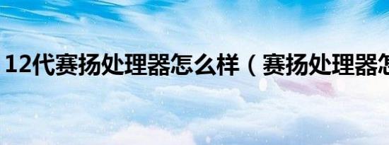 12代赛扬处理器怎么样（赛扬处理器怎么样）