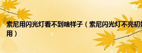 索尼用闪光灯看不到啥样子（索尼闪光灯不亮初始化了也没用）