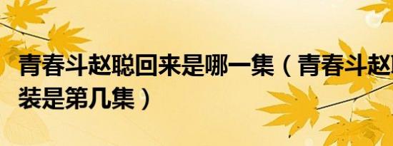 青春斗赵聪回来是哪一集（青春斗赵聪脱下西装是第几集）