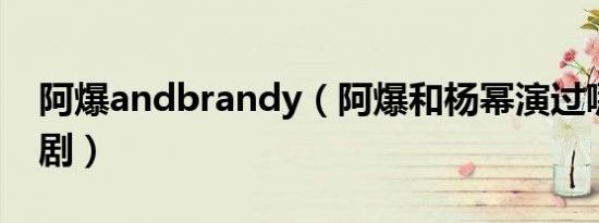 阿爆andbrandy（阿爆和杨幂演过哪个电视剧）