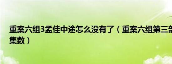 重案六组3孟佳中途怎么没有了（重案六组第三部孟佳出场集数）