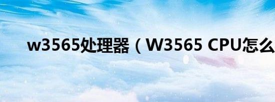 w3565处理器（W3565 CPU怎么样）